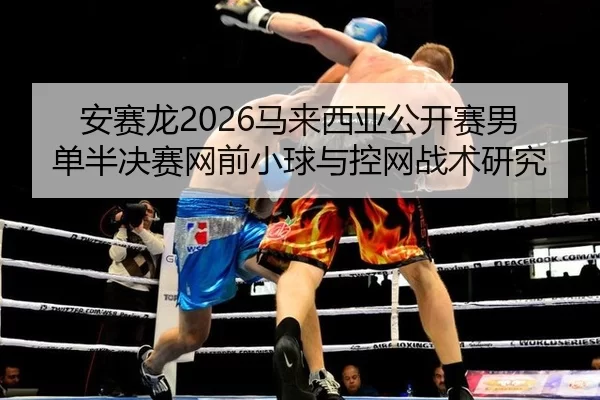 an-sai-long-ma-lai-xi-ya-gong-kai-sai-nan-dan-ban-jue-sai-wang-qian-xiao-qiu-yu-kong-wang-zhan-shu-yan-jiu-2-596.jpg